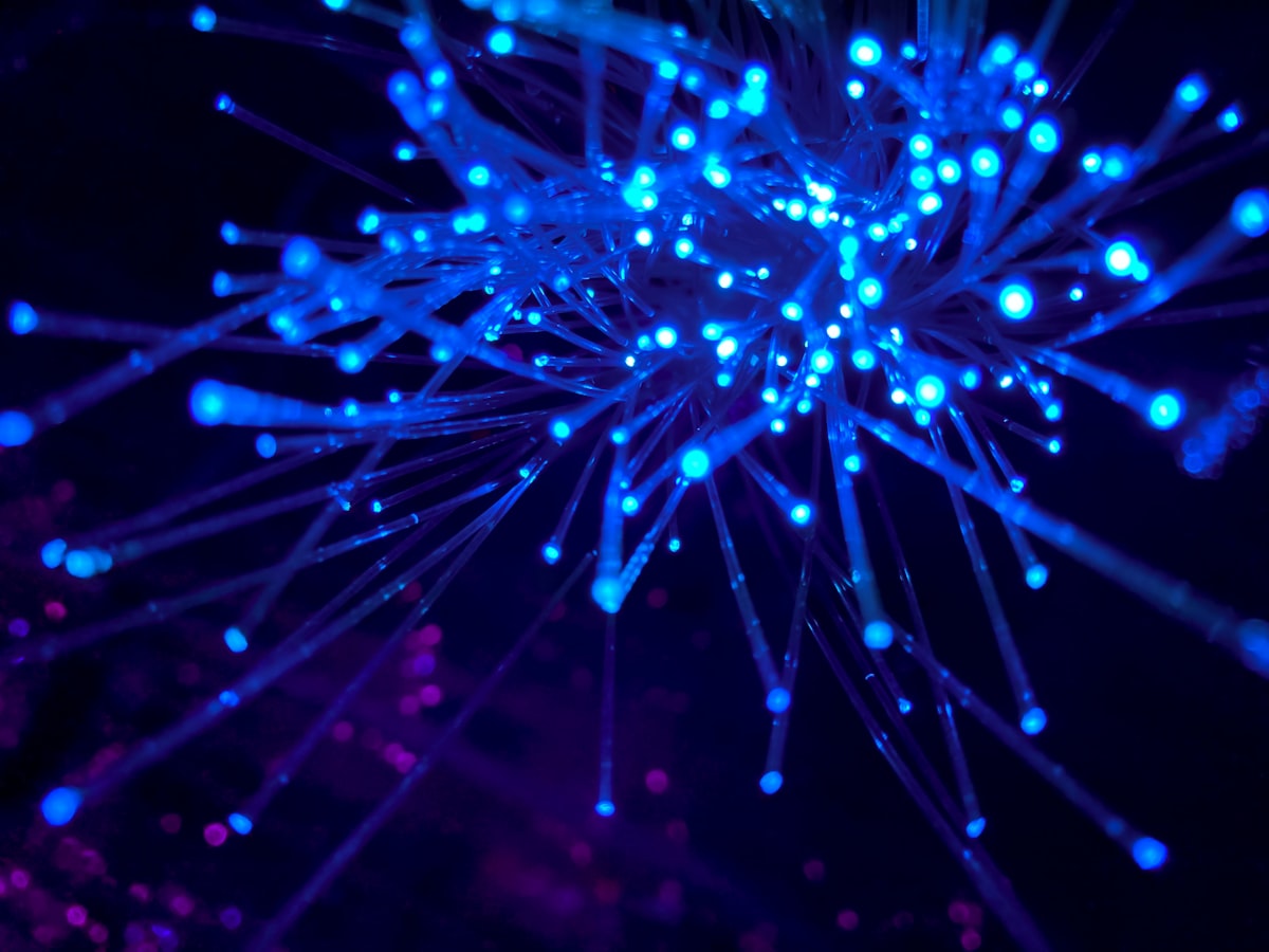 Callr vs Telnyx 2026: Two Carrier-Native Platforms, Two Philosophies